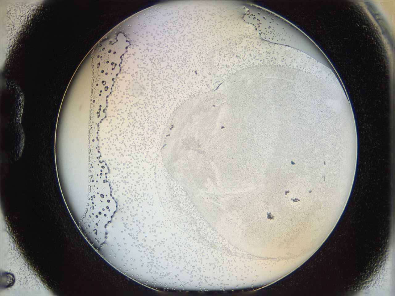 06ca_B5_ImagerDefaults_5.jpg