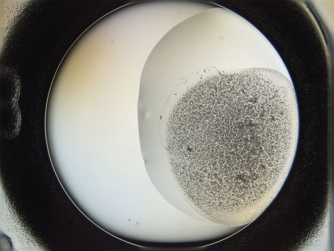 06ca_B3_ImagerDefaults_3.jpg