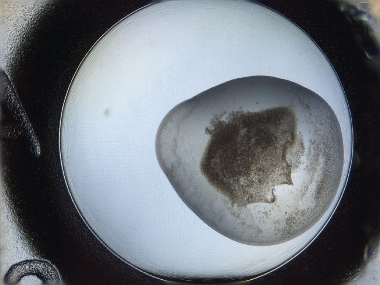 06ca_A12_ImagerDefaults_3.jpg