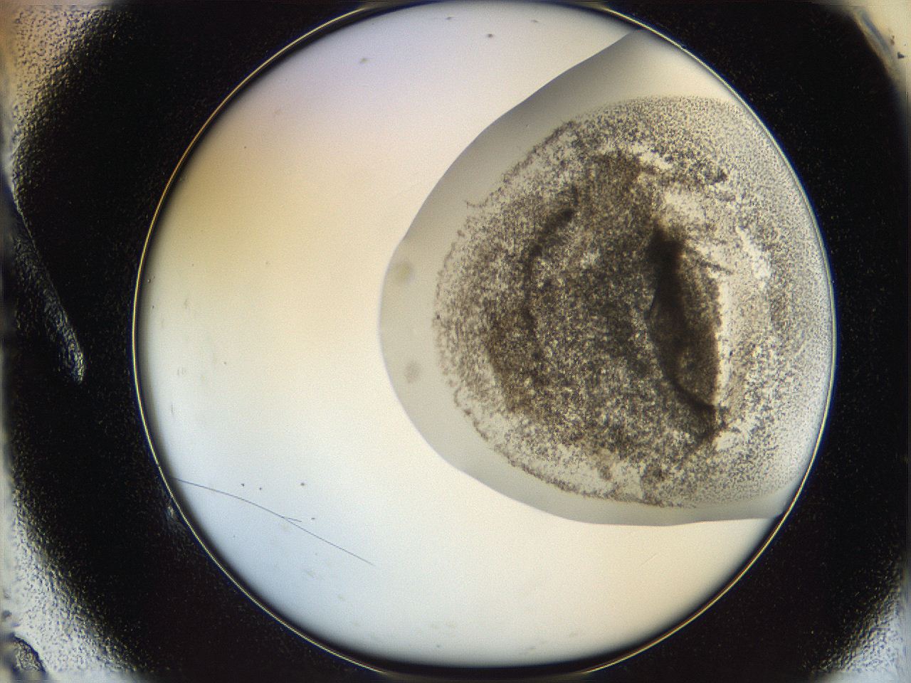 06ca_A9_ImagerDefaults_3.jpg