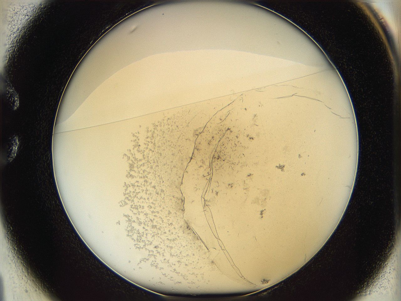 06ca_C1_ImagerDefaults_2.jpg