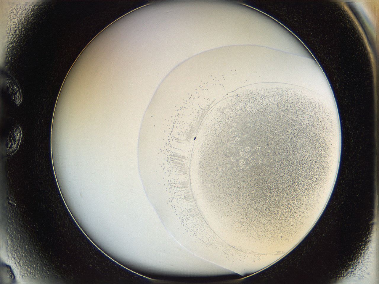 06ca_C3_ImagerDefaults_3.jpg