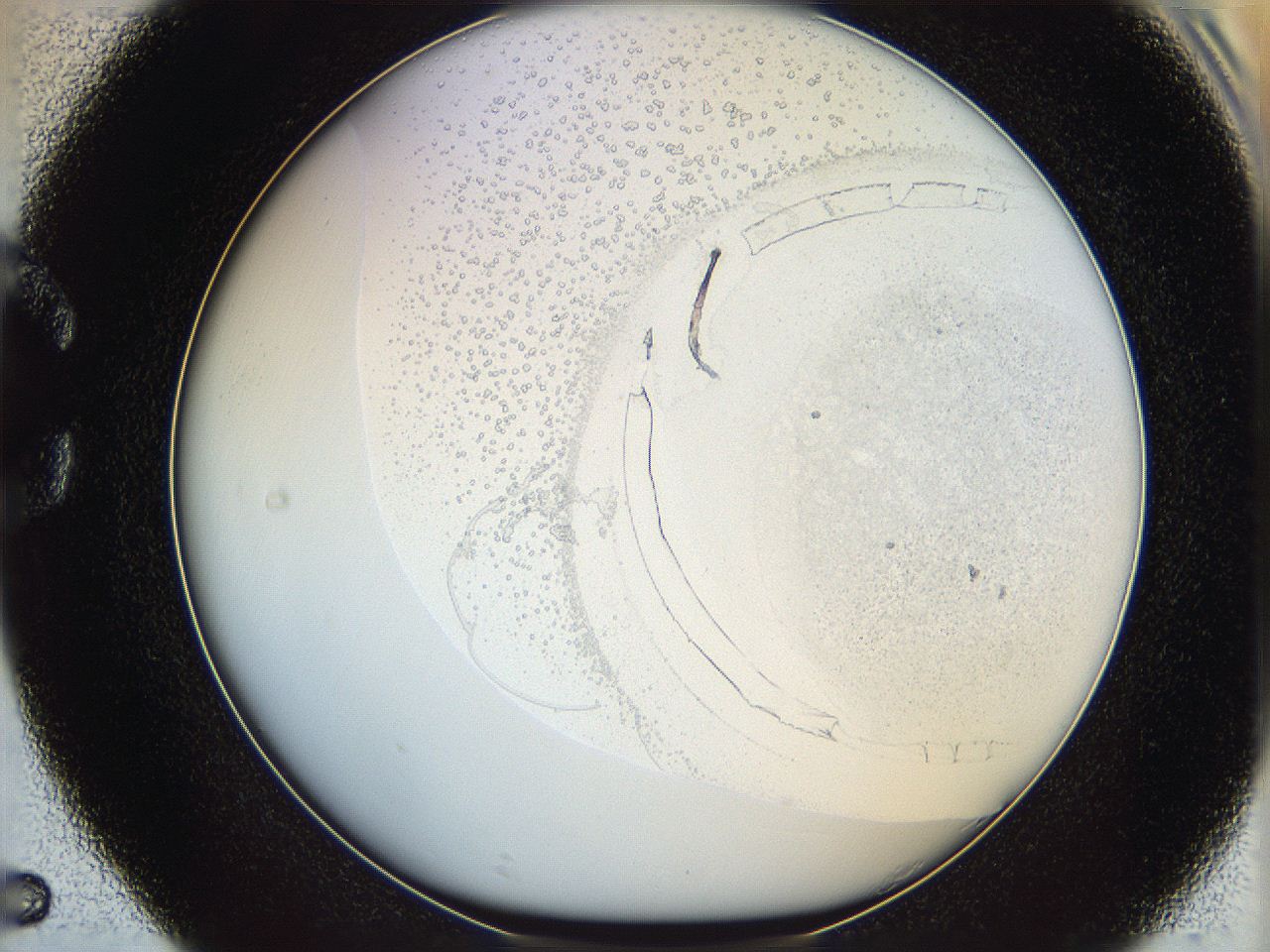 06ca_C5_ImagerDefaults_2.jpg