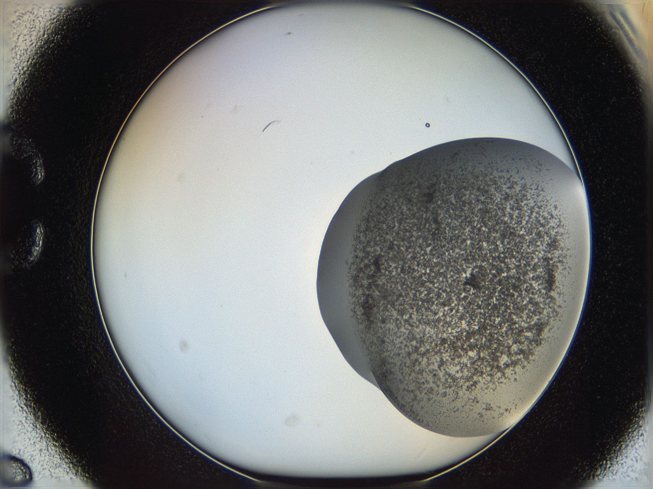 06ca_C6_ImagerDefaults_3.jpg
