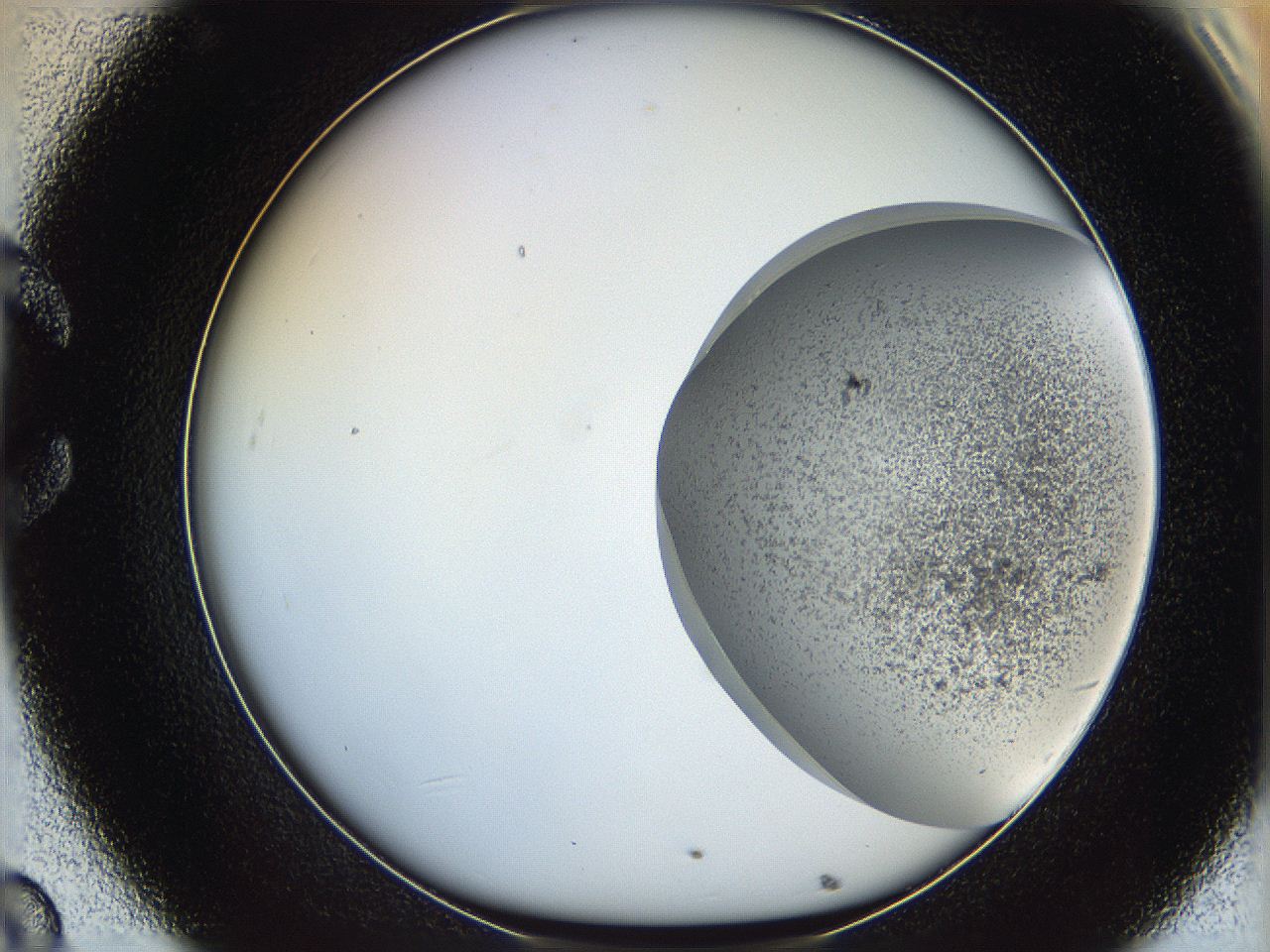 06ca_C8_ImagerDefaults_2.jpg