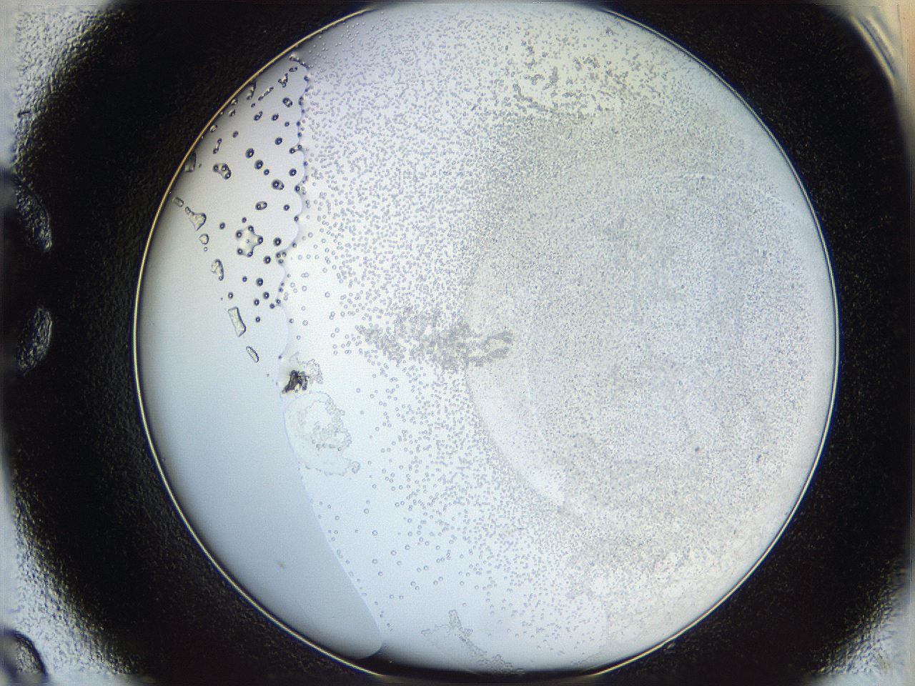 06ca_C9_ImagerDefaults_5.jpg