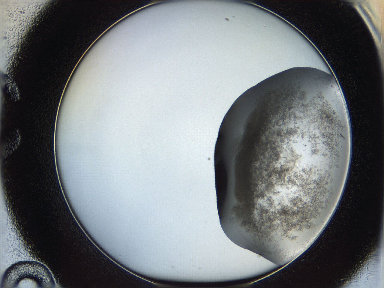 06ca_C10_ImagerDefaults_3.jpg