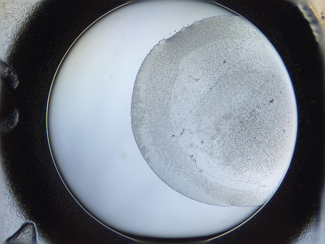 06ca_C11_ImagerDefaults_5.jpg