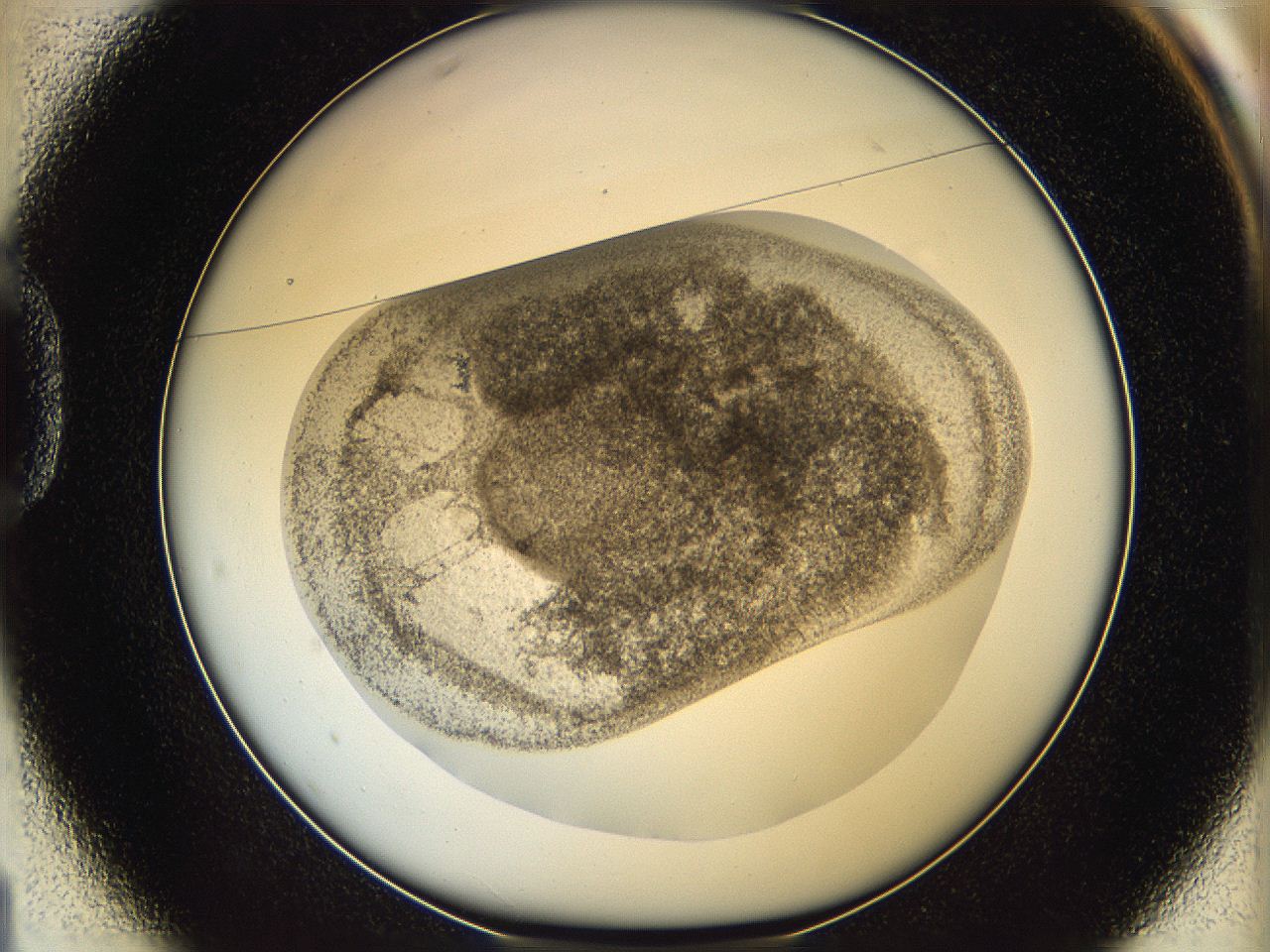 06ca_D1_ImagerDefaults_3.jpg