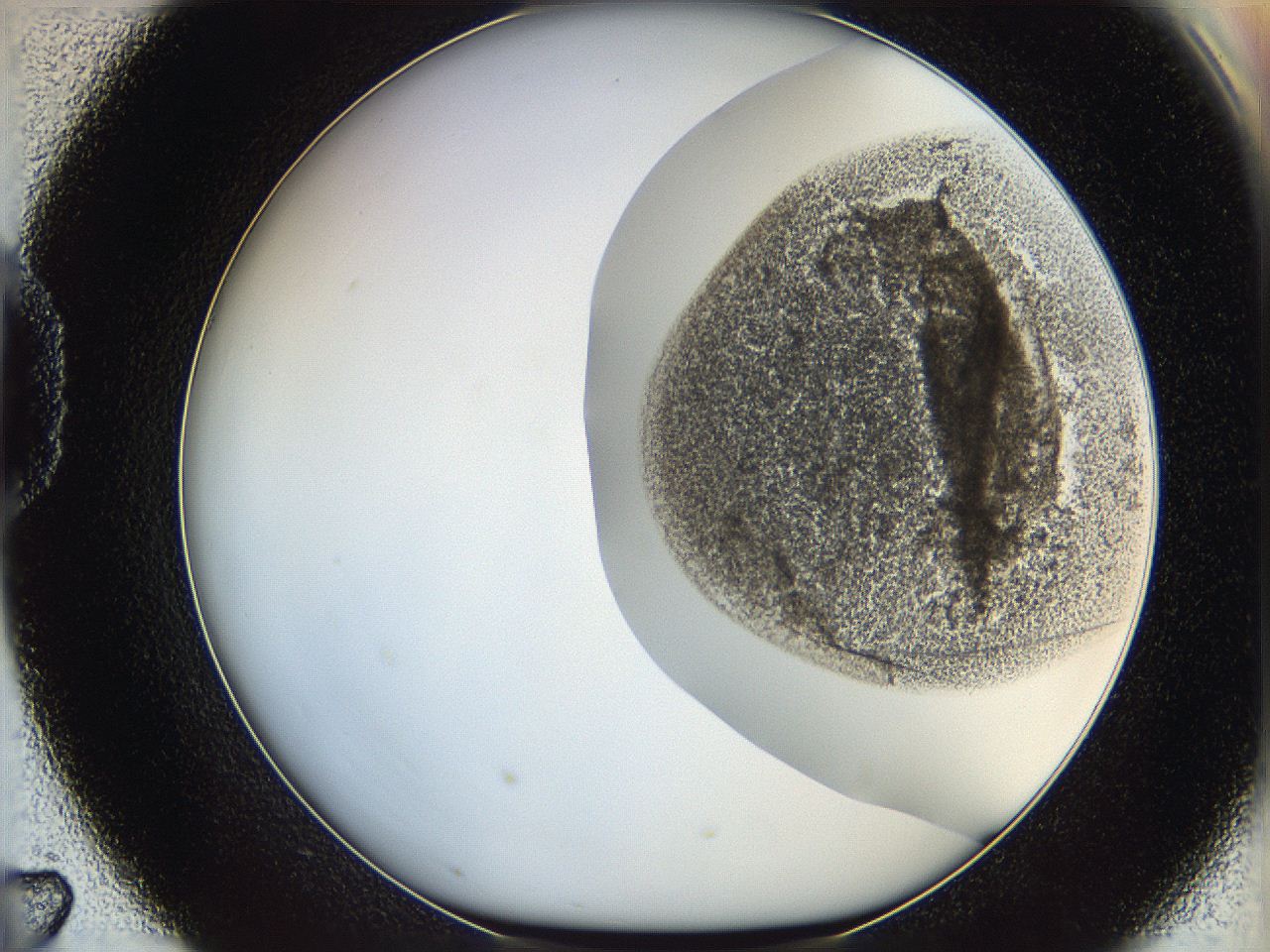 06ca_D7_ImagerDefaults_3.jpg