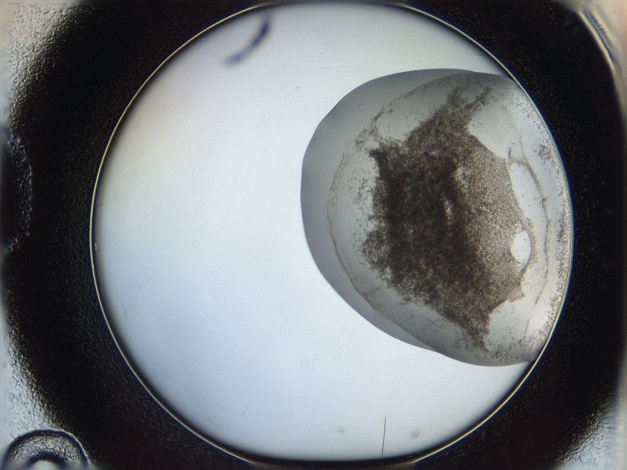 06ca_D10_ImagerDefaults_3.jpg