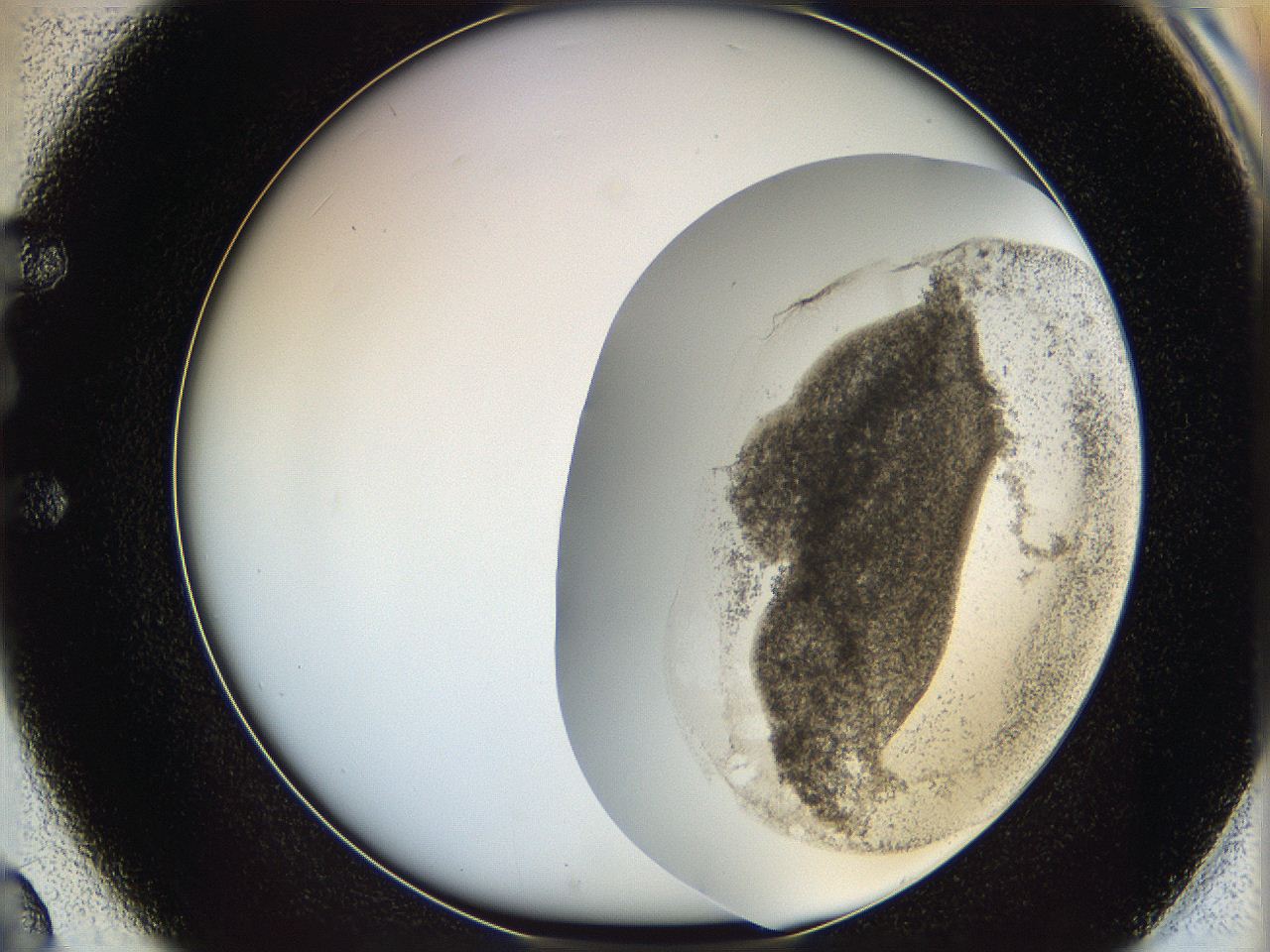 06ca_E2_ImagerDefaults_3.jpg