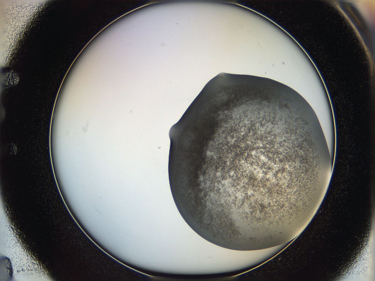 06ca_E4_ImagerDefaults_3.jpg