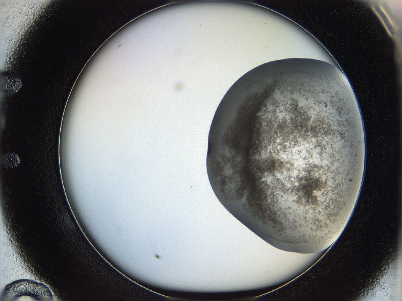 06ca_E10_ImagerDefaults_3.jpg