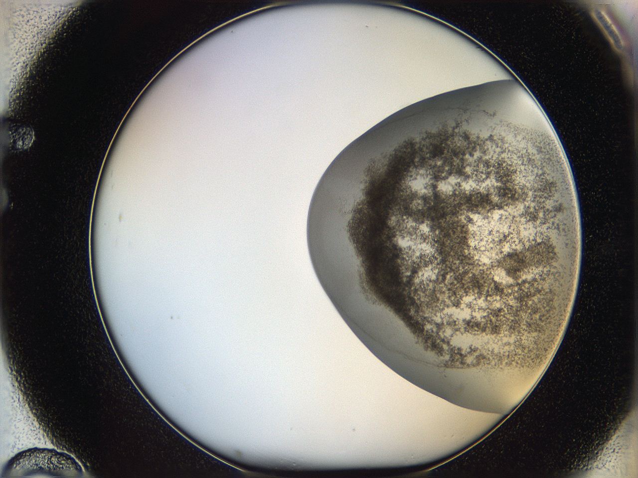 06ca_F10_ImagerDefaults_3.jpg