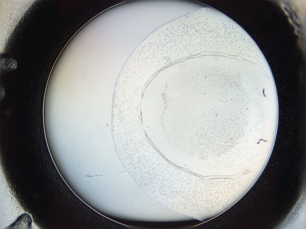 06ca_F11_ImagerDefaults_2.jpg