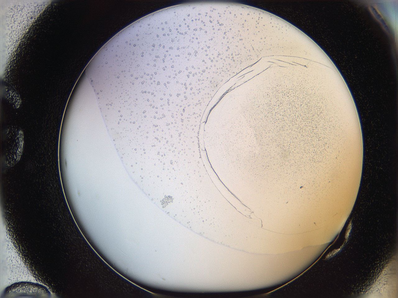 06ca_G10_ImagerDefaults_2.jpg