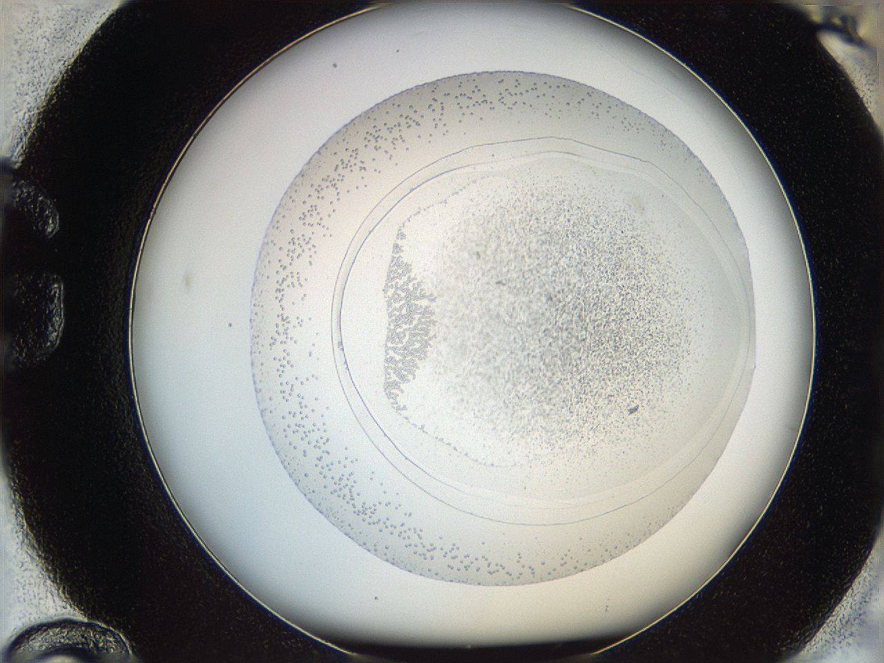 06ca_G12_ImagerDefaults_5.jpg