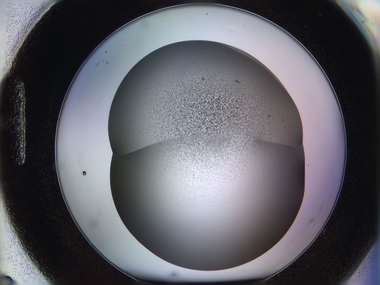 06ca_H8_ImagerDefaults_2.jpg