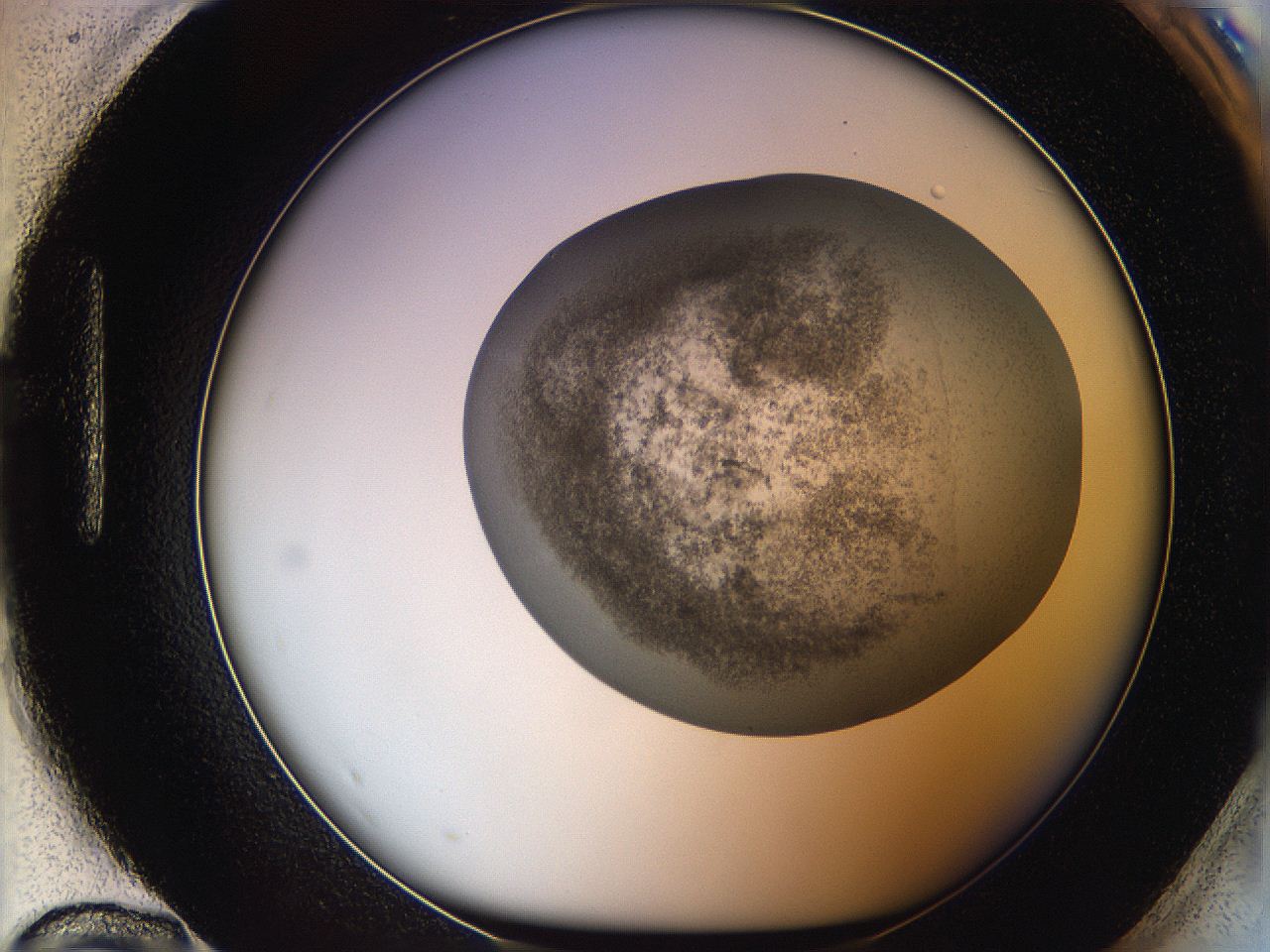 06ca_H12_ImagerDefaults_3.jpg