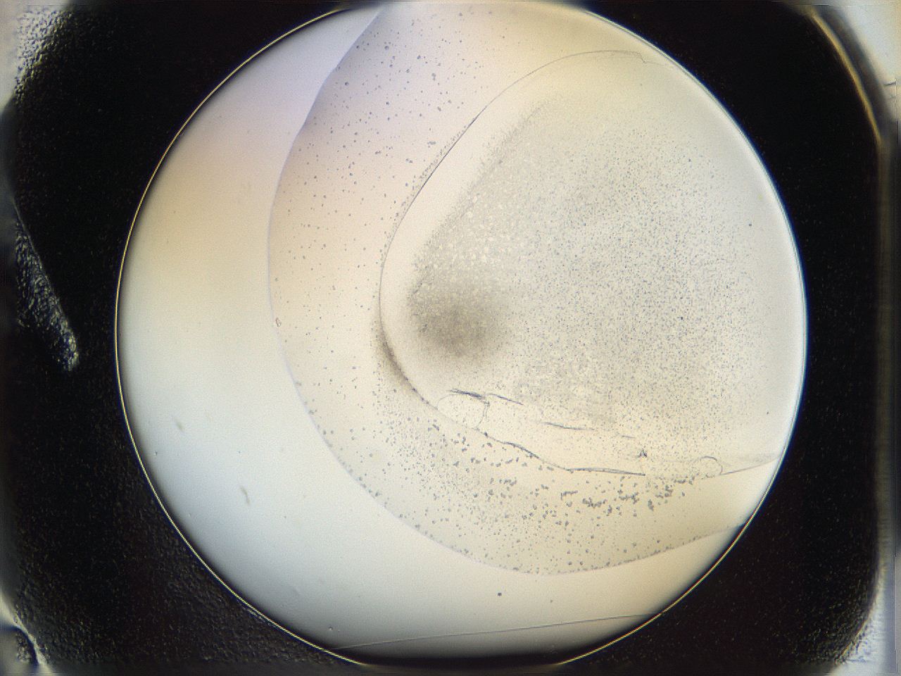 06cb_A2_ImagerDefaults_0.jpg