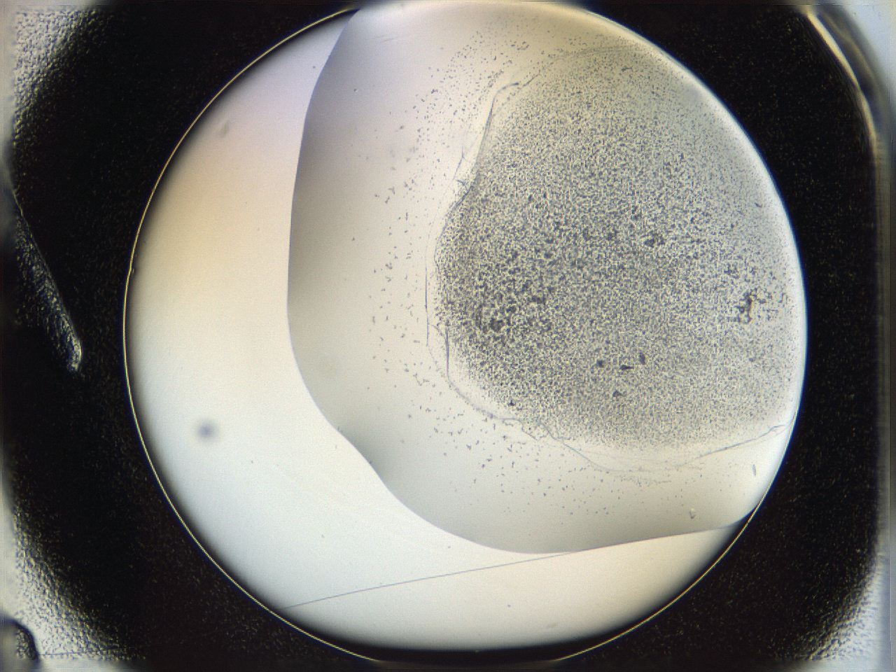 06cb_A3_ImagerDefaults_2.jpg
