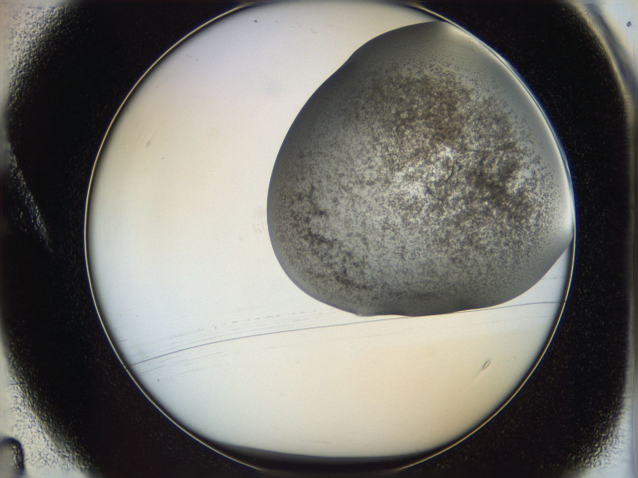 06cb_A4_ImagerDefaults_3.jpg