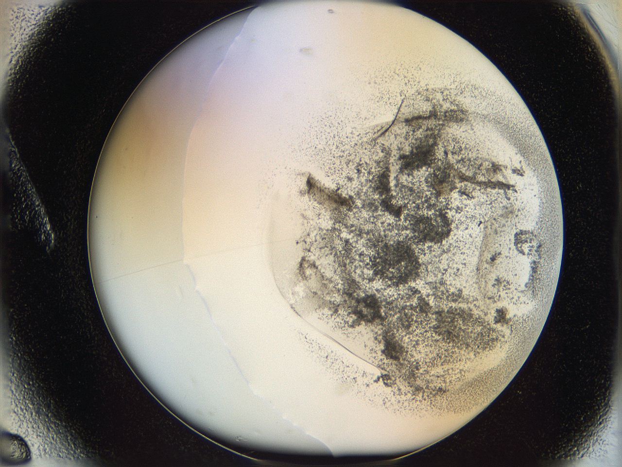 06cb_A6_ImagerDefaults_2.jpg