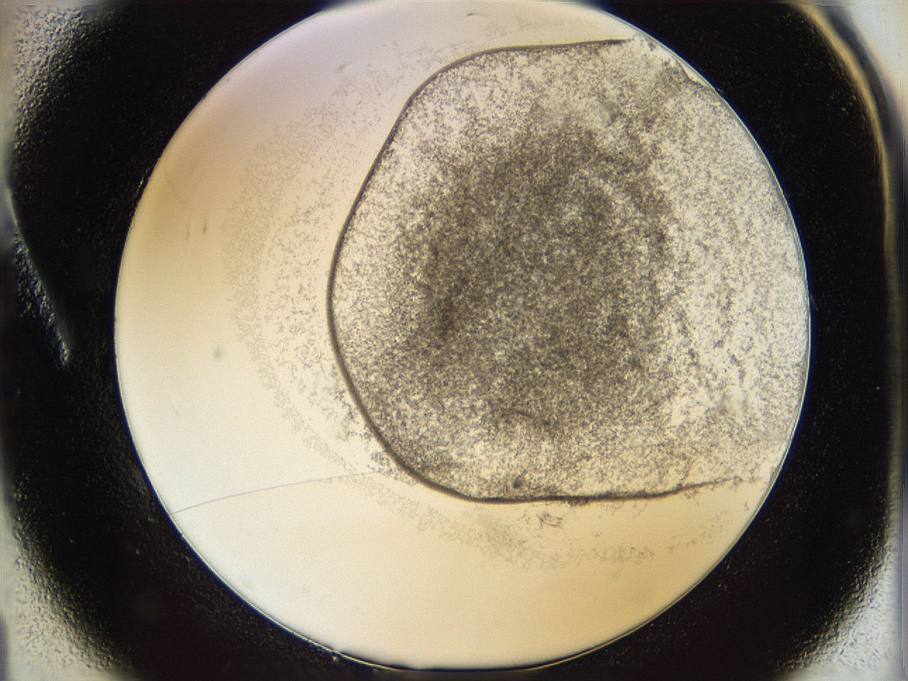 06cb_A1_ImagerDefaults_3.jpg