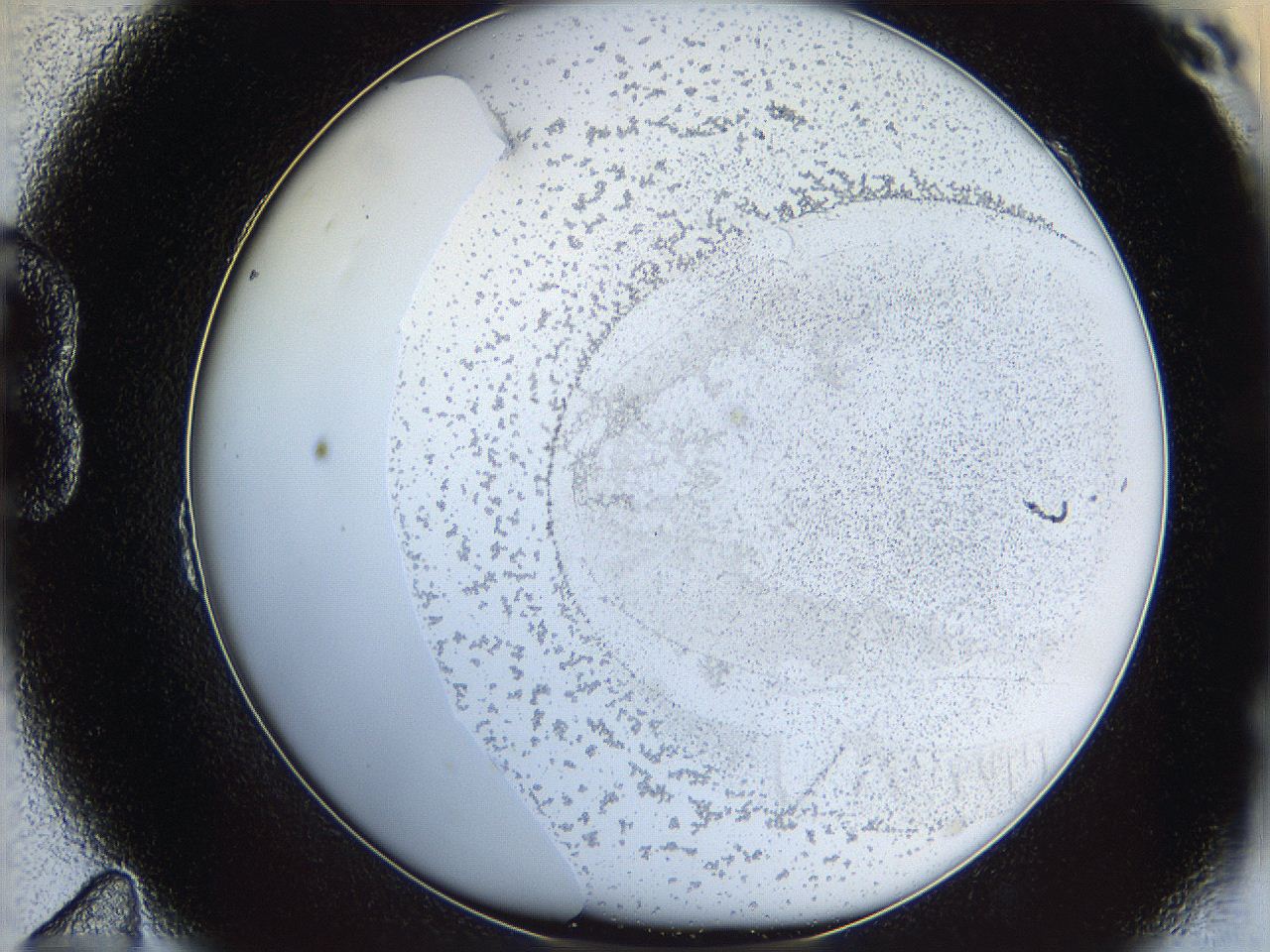 06cb_B11_ImagerDefaults_5.jpg