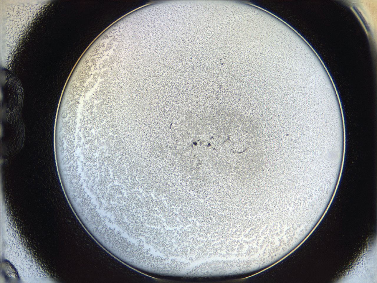 06cb_B9_ImagerDefaults_3.jpg