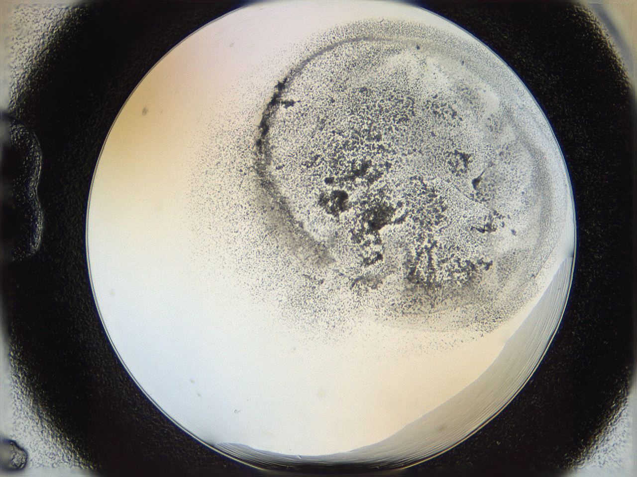 06cb_B6_ImagerDefaults_3.jpg