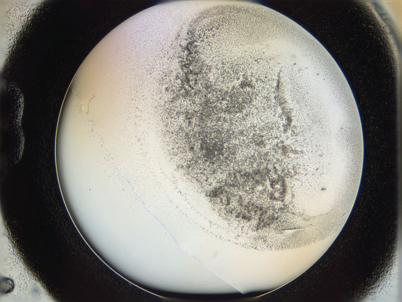 06cb_B5_ImagerDefaults_3.jpg