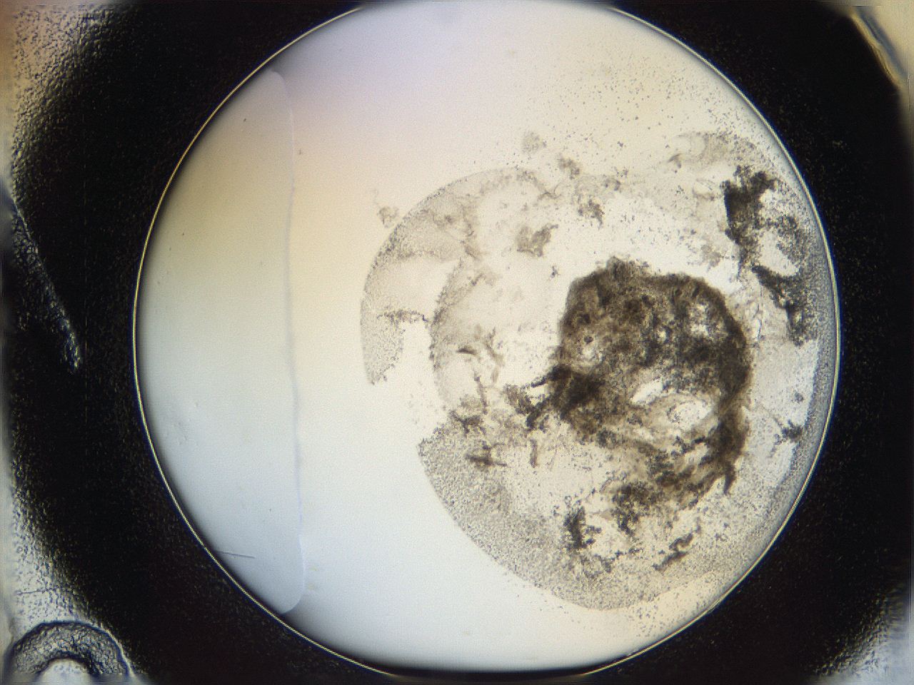 06cb_A10_ImagerDefaults_3.jpg