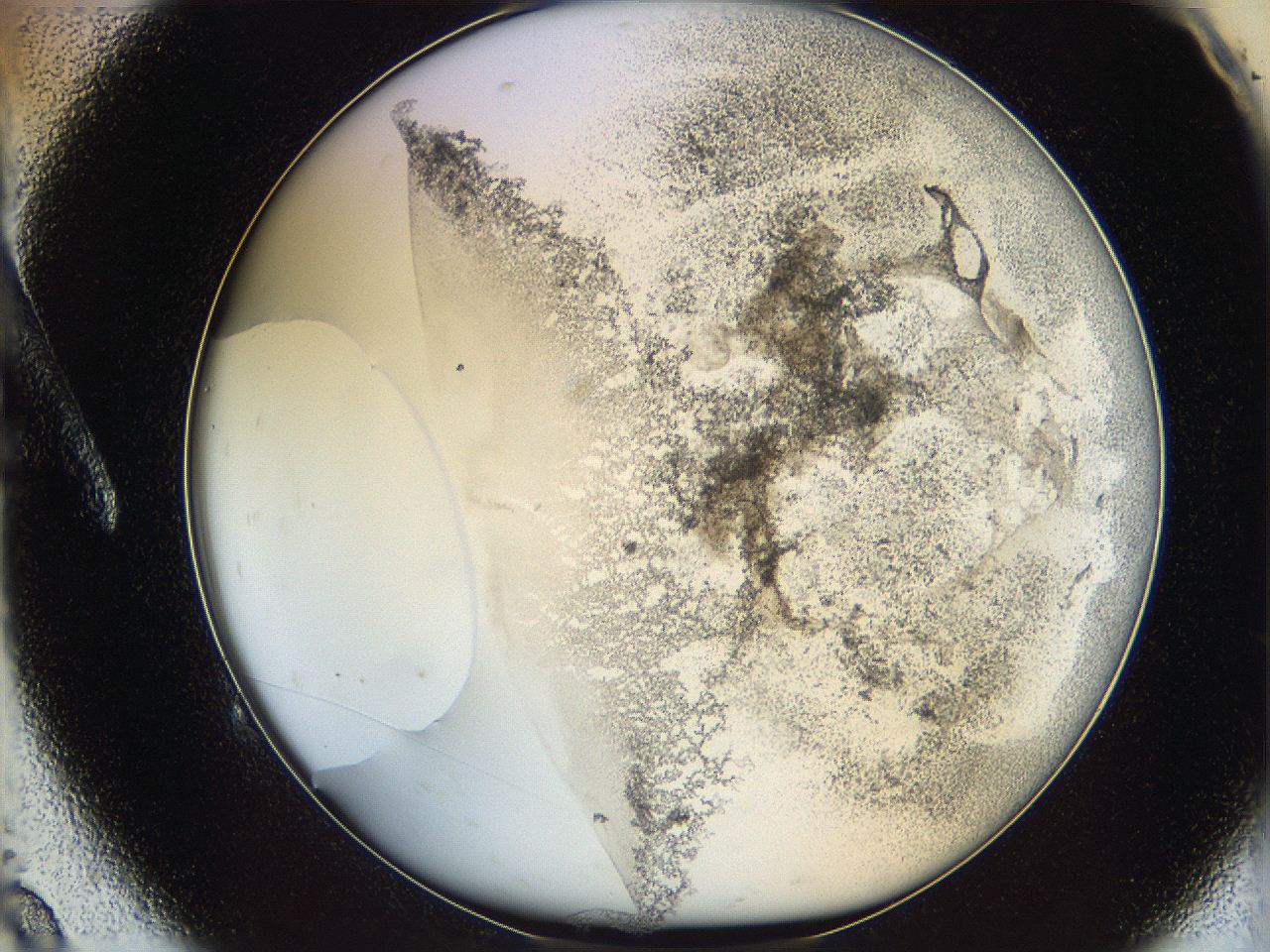 06cb_A9_ImagerDefaults_3.jpg
