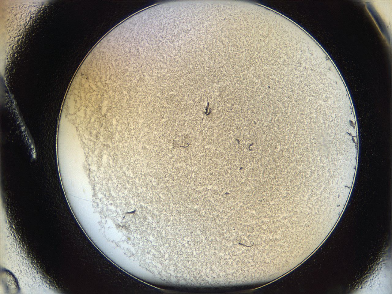 06cb_A8_ImagerDefaults_3.jpg