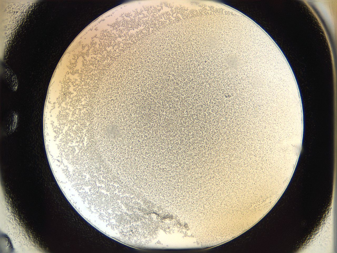 06cb_C2_ImagerDefaults_2.jpg