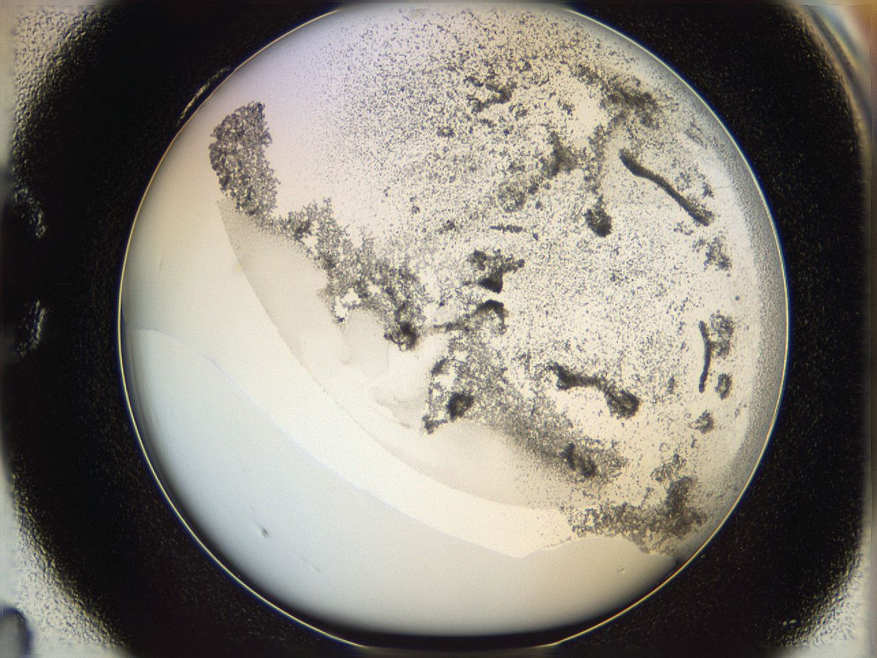 06cb_C4_ImagerDefaults_3.jpg