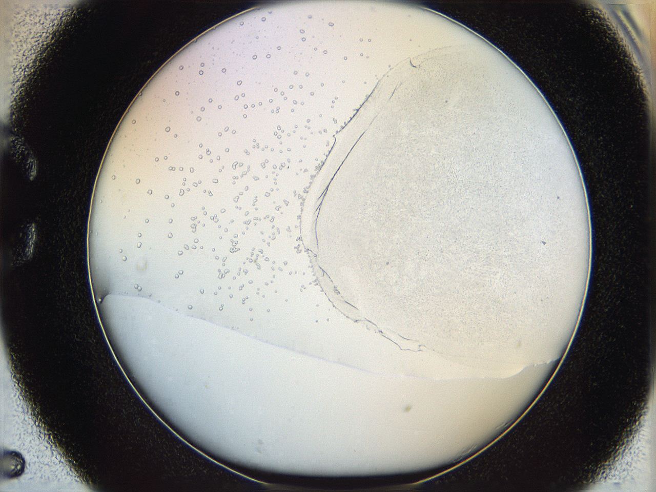 06cb_C5_ImagerDefaults_5.jpg