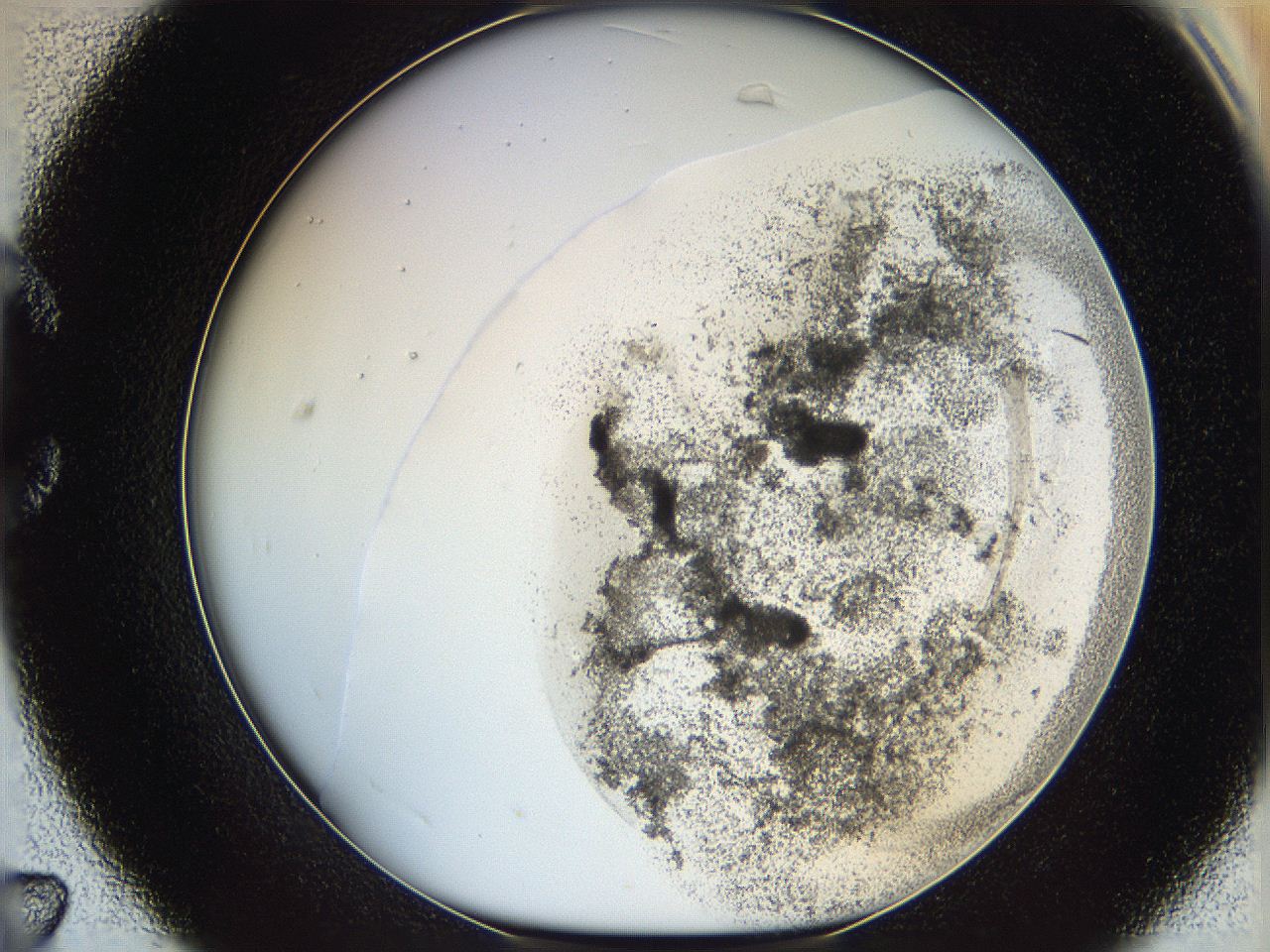06cb_C7_ImagerDefaults_3.jpg