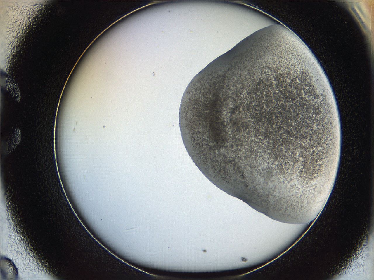 06cb_C8_ImagerDefaults_3.jpg