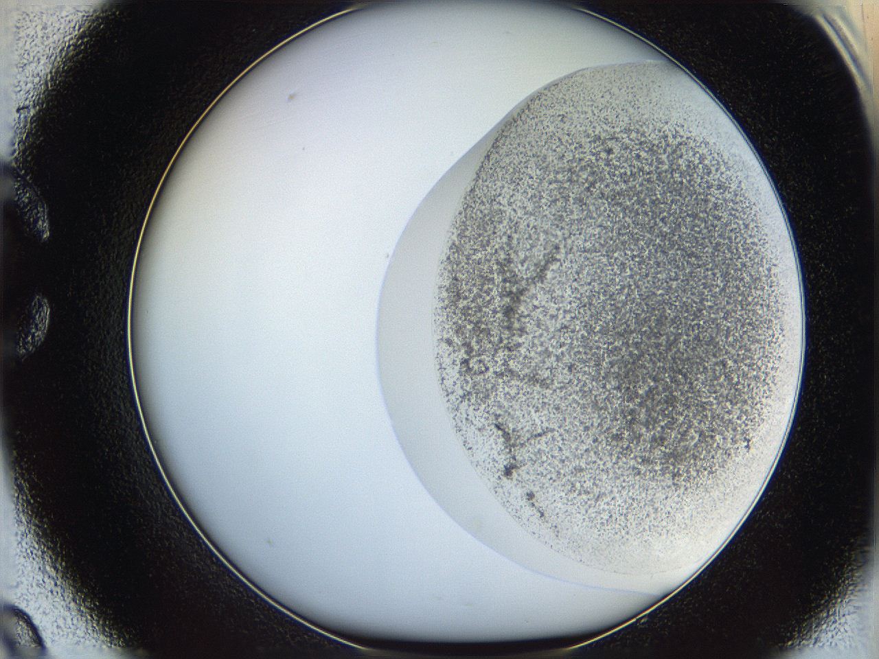 06cb_C9_ImagerDefaults_3.jpg