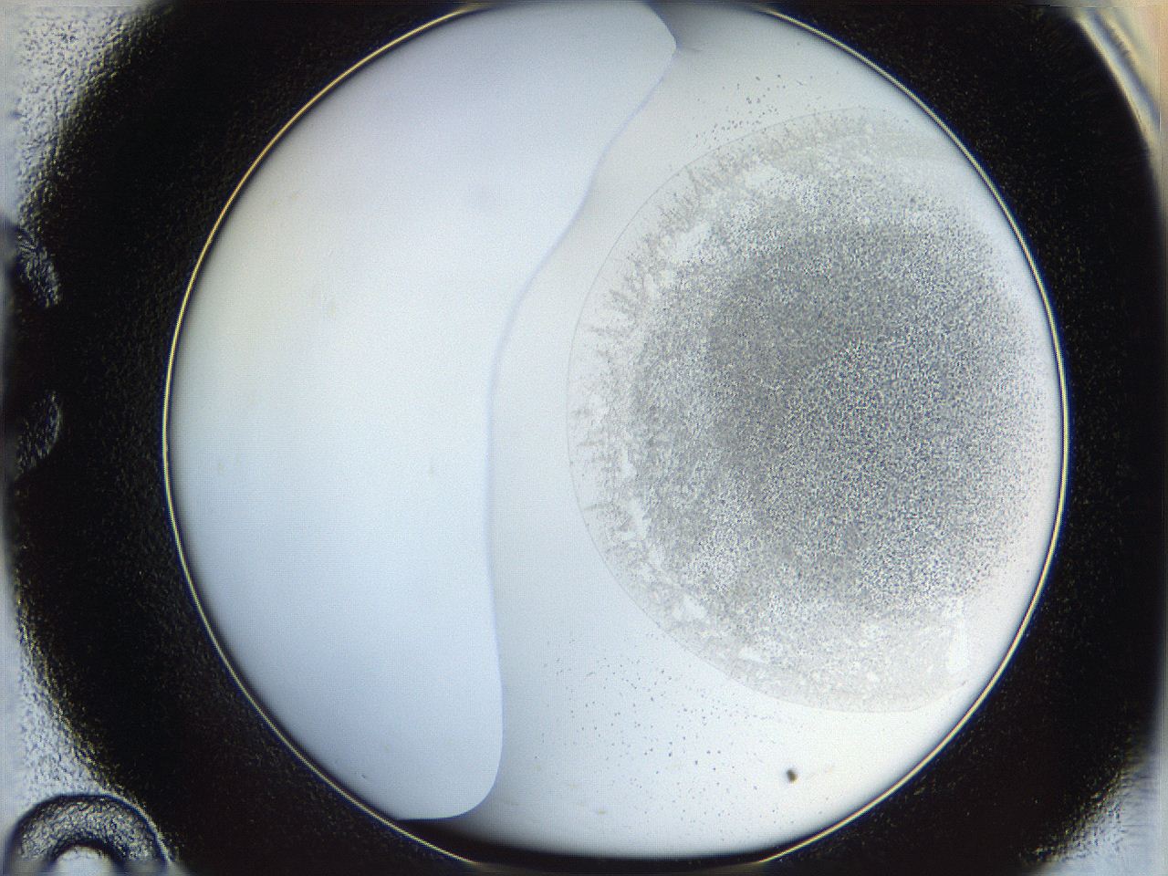 06cb_C10_ImagerDefaults_2.jpg