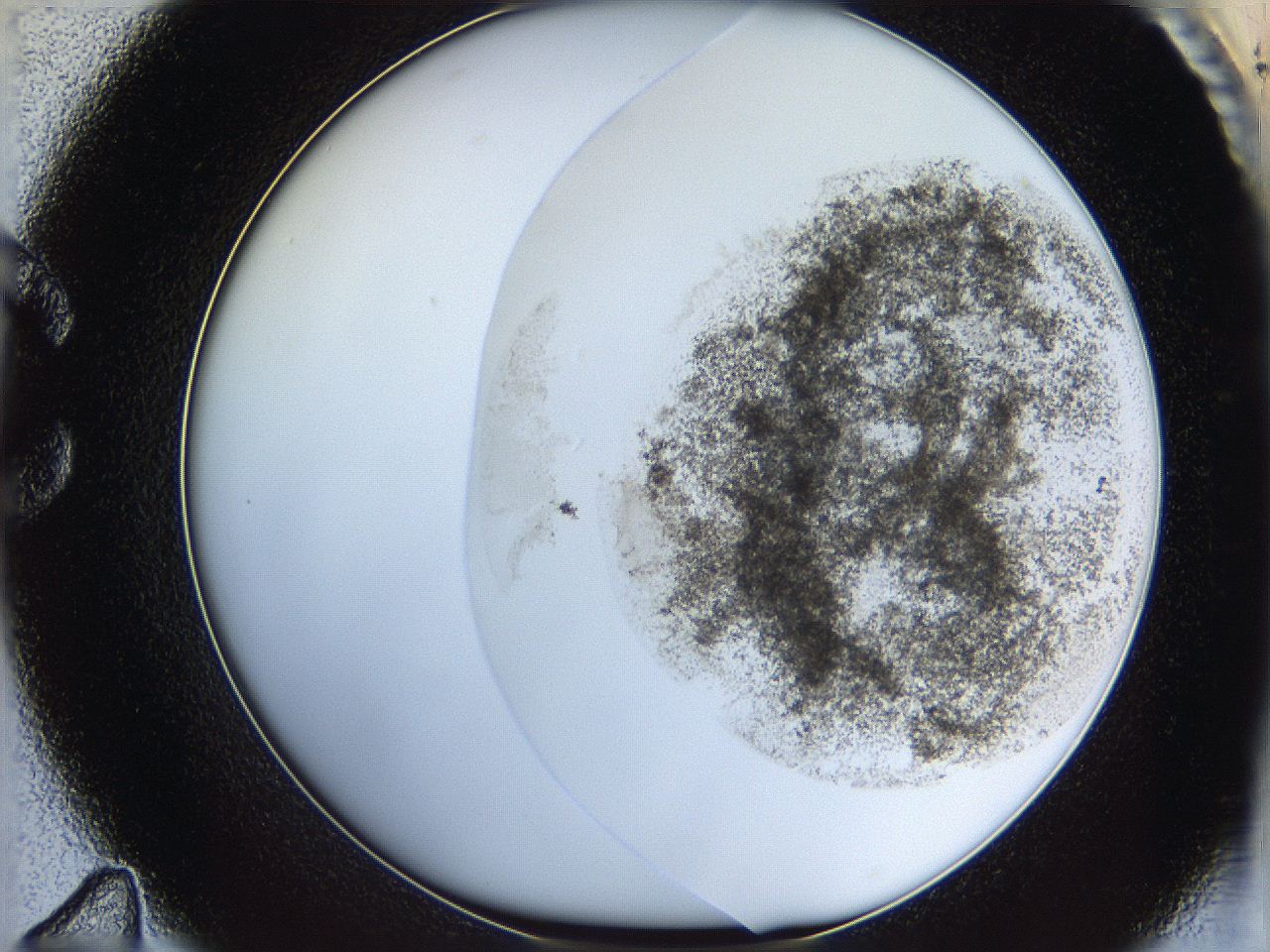 06cb_C11_ImagerDefaults_3.jpg