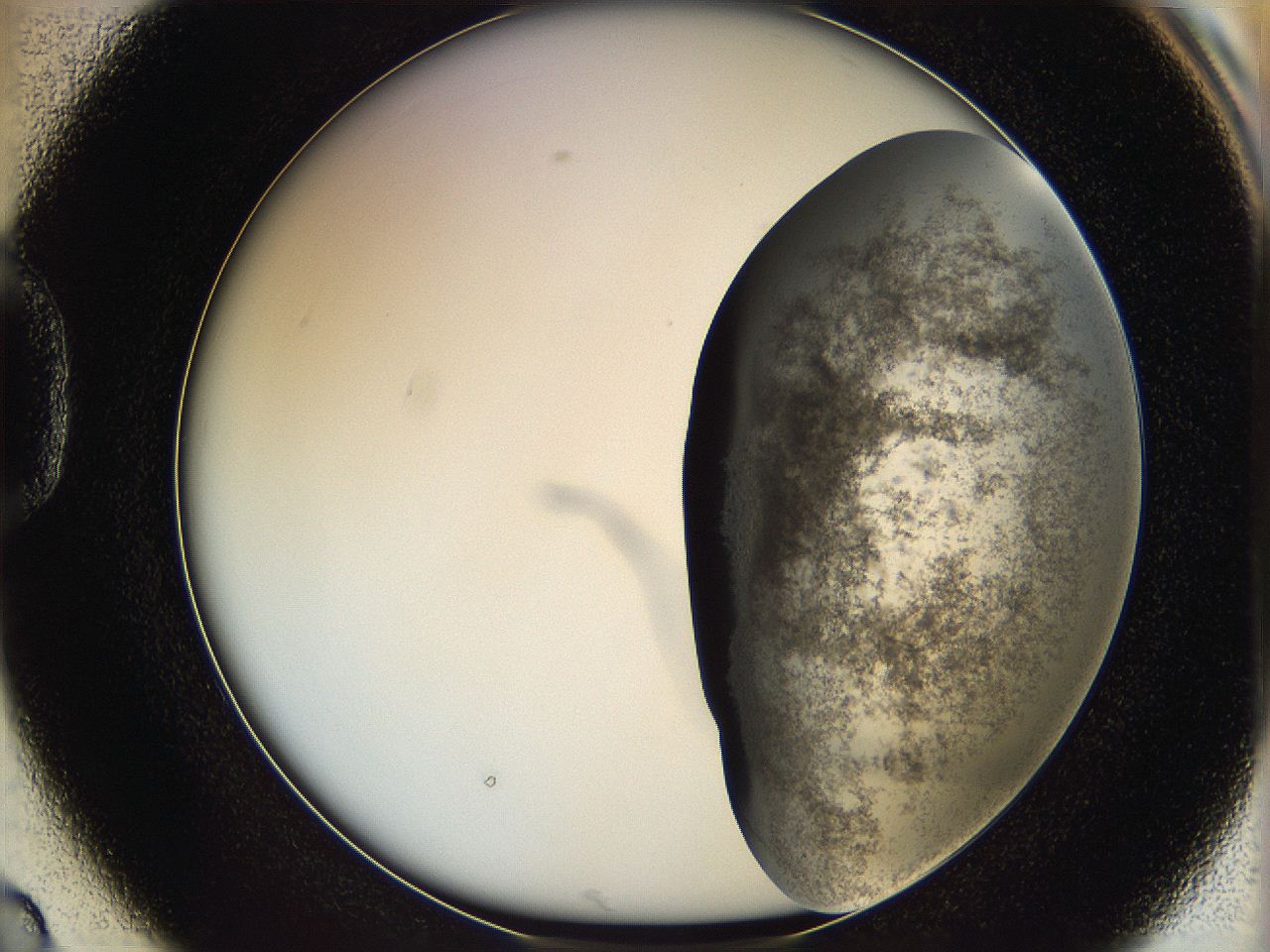 06cb_D2_ImagerDefaults_3.jpg