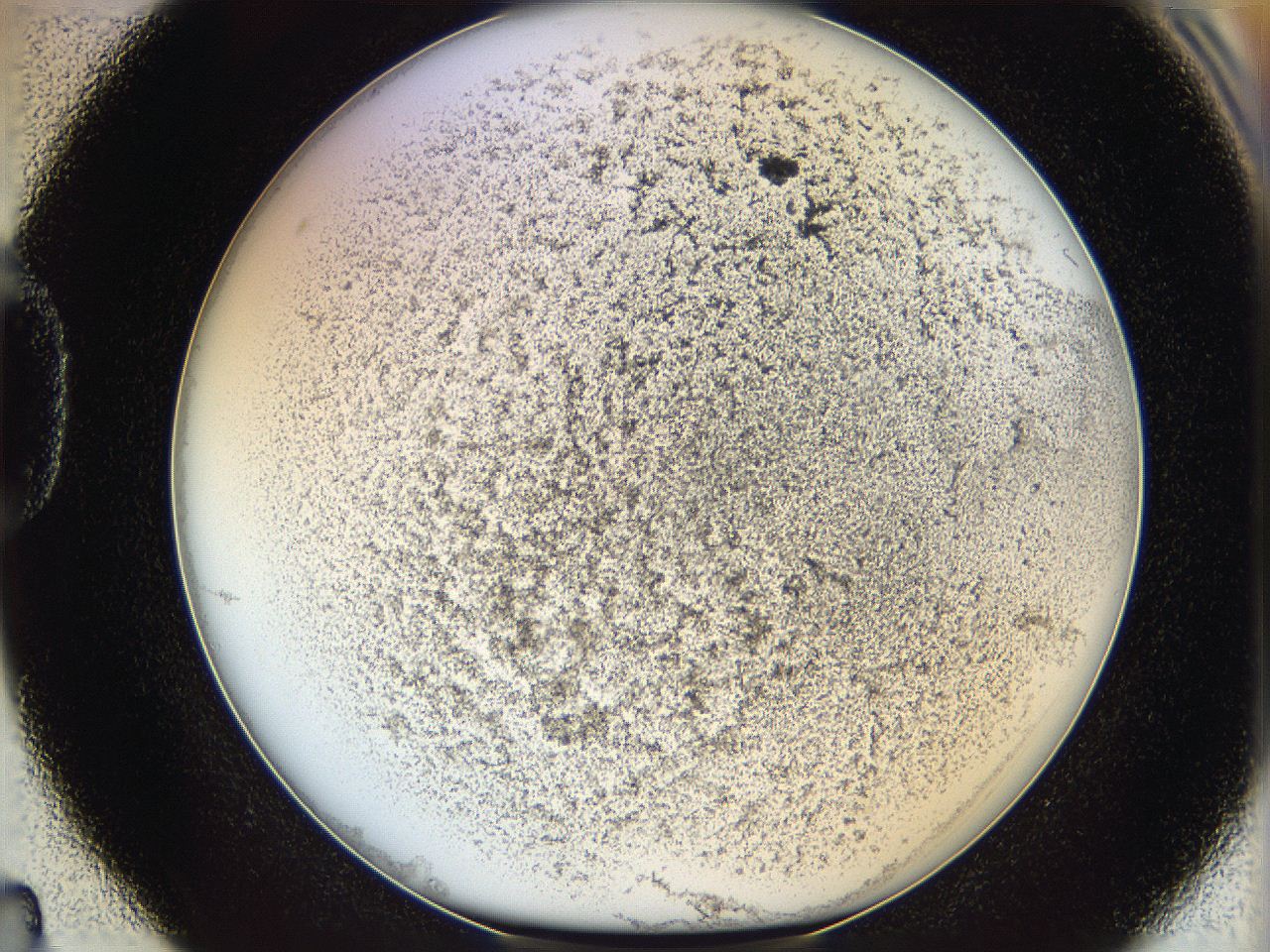 06cb_D4_ImagerDefaults_3.jpg