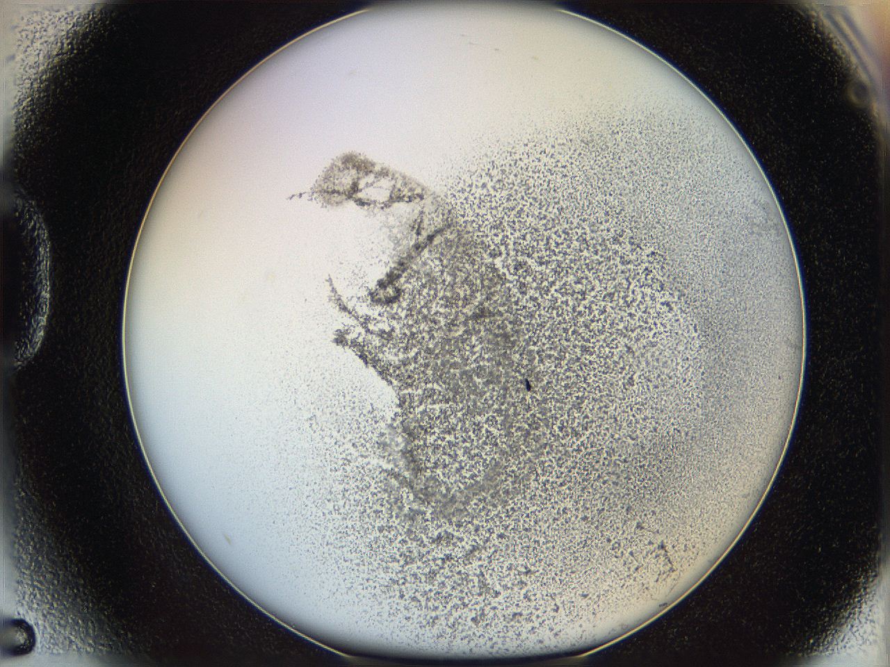 06cb_D5_ImagerDefaults_3.jpg