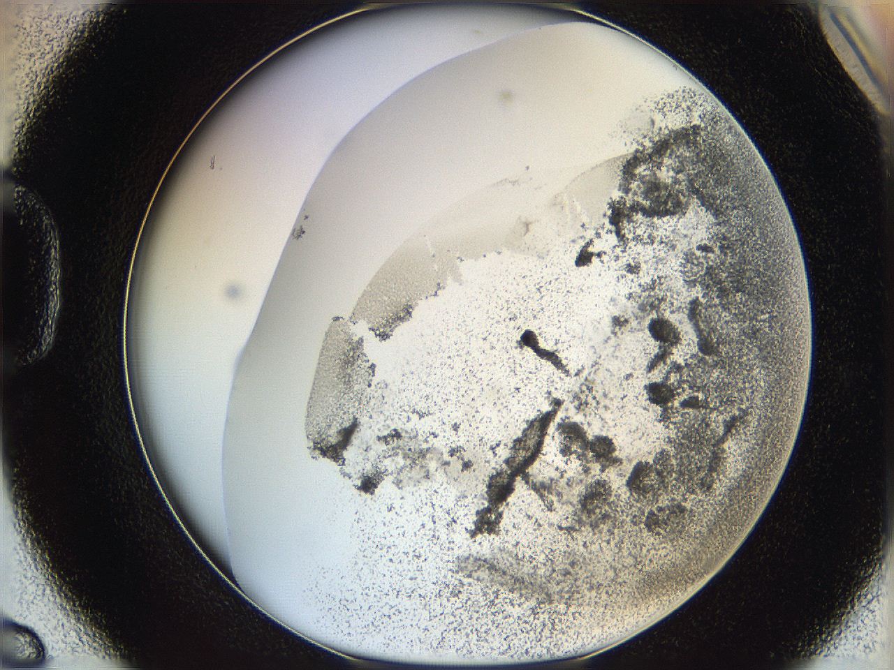 06cb_D6_ImagerDefaults_3.jpg