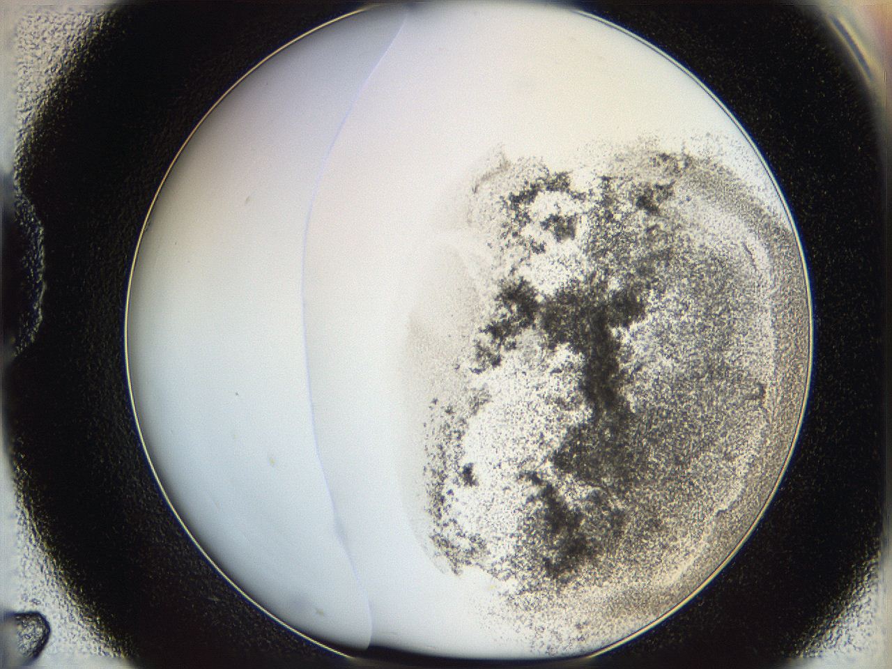 06cb_D7_ImagerDefaults_3.jpg