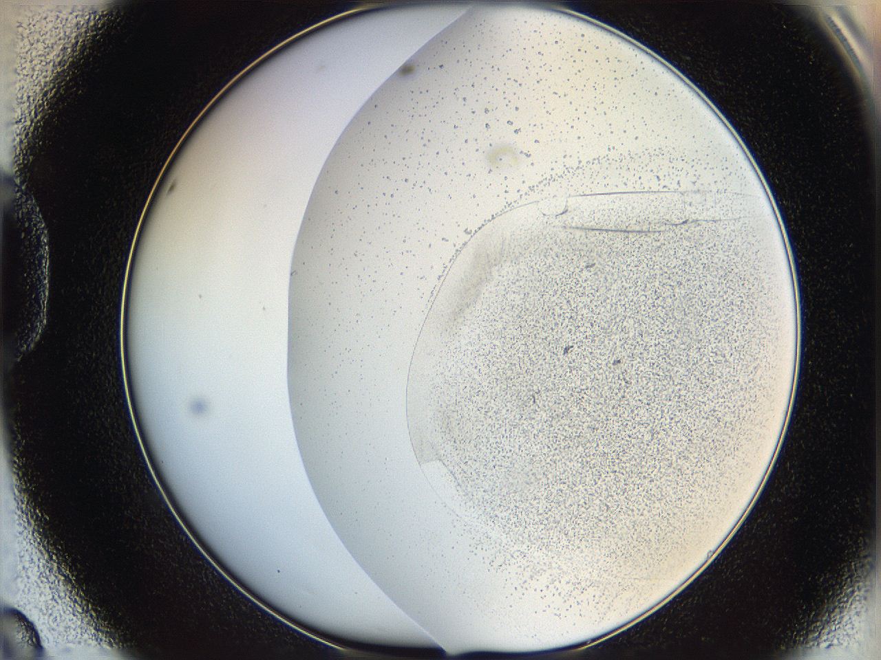 06cb_D8_ImagerDefaults_1.jpg